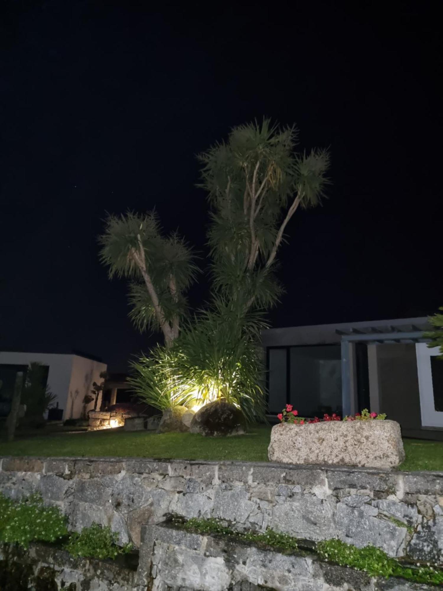 Casa Da Leira Villa Amarante Eksteriør billede