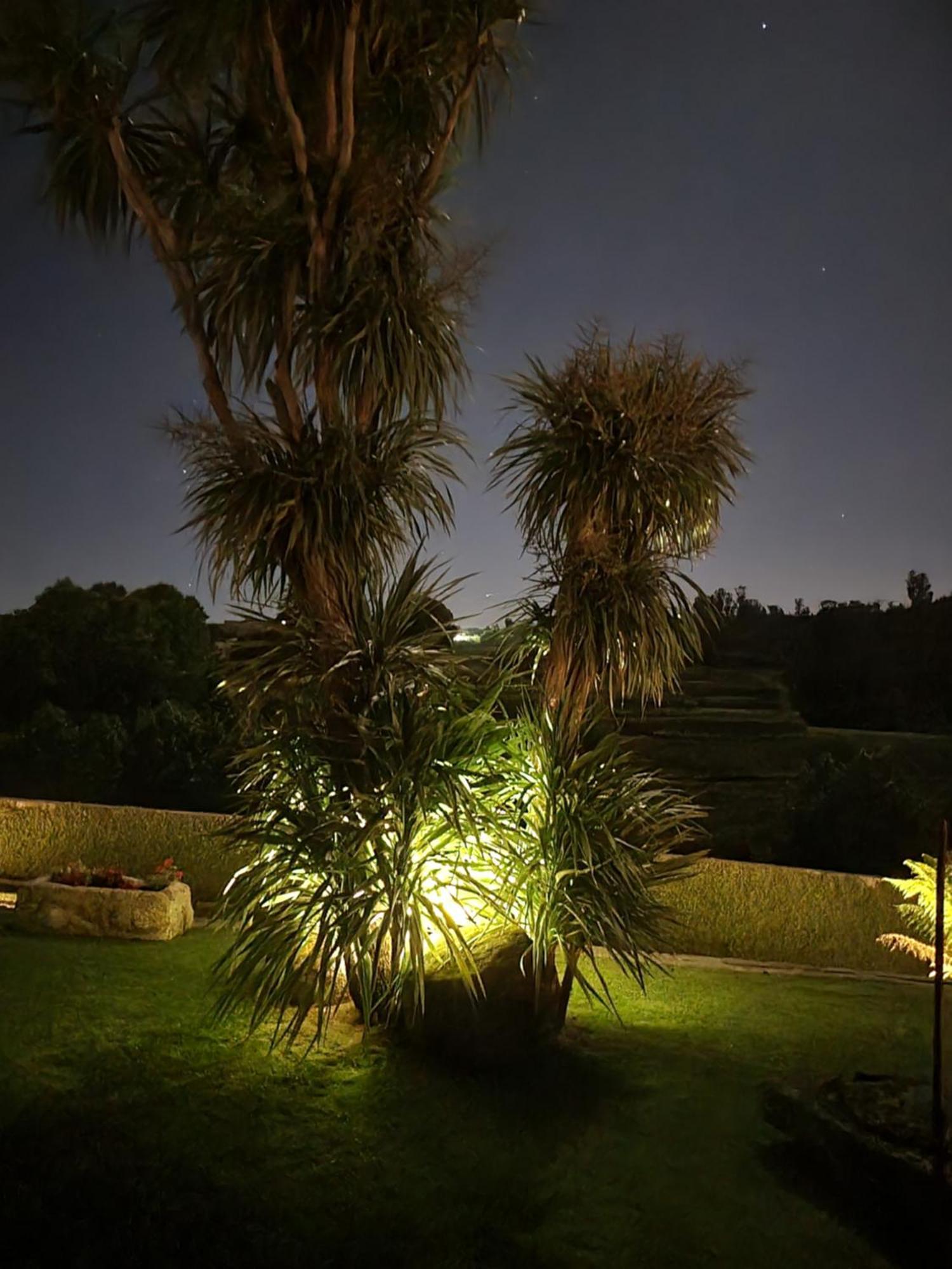 Casa Da Leira Villa Amarante Eksteriør billede