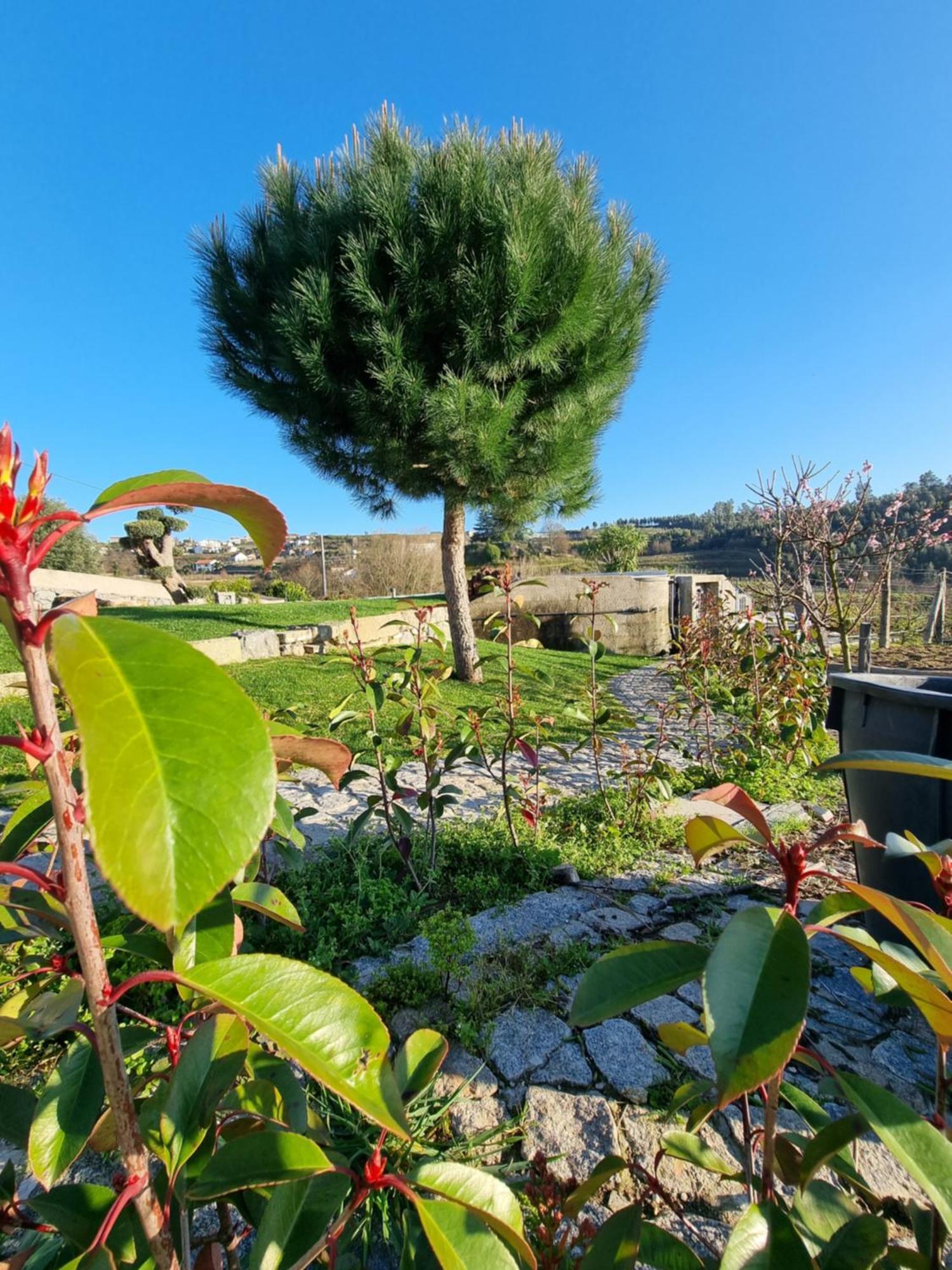 Casa Da Leira Villa Amarante Eksteriør billede