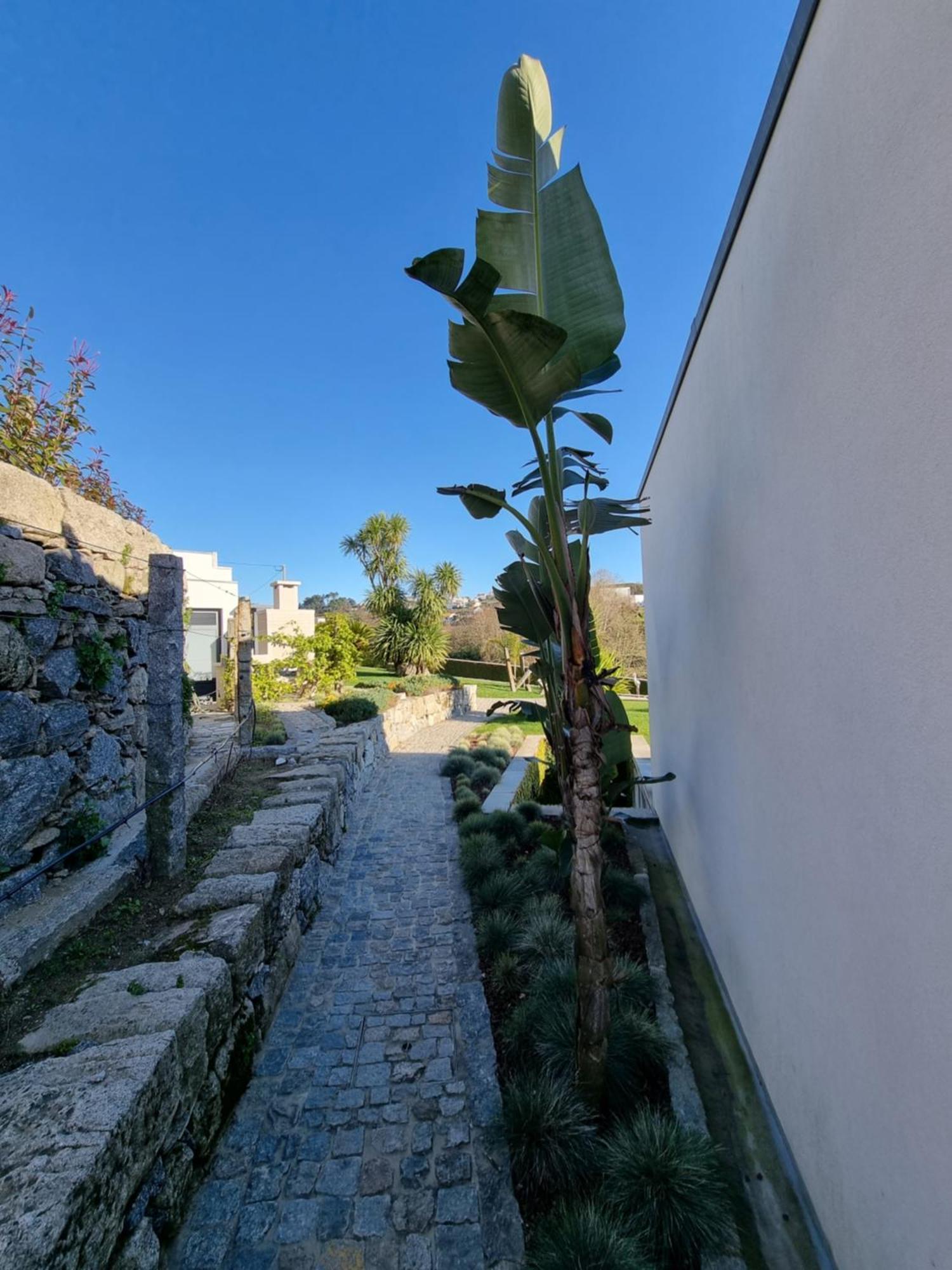 Casa Da Leira Villa Amarante Eksteriør billede