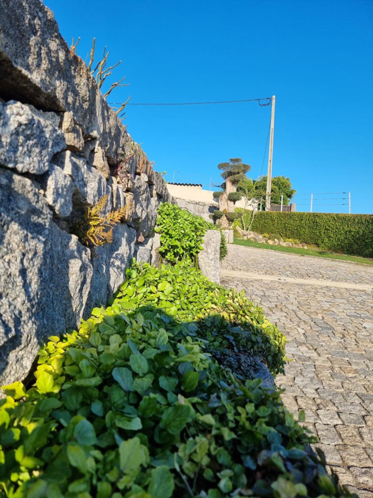 Casa Da Leira Villa Amarante Eksteriør billede
