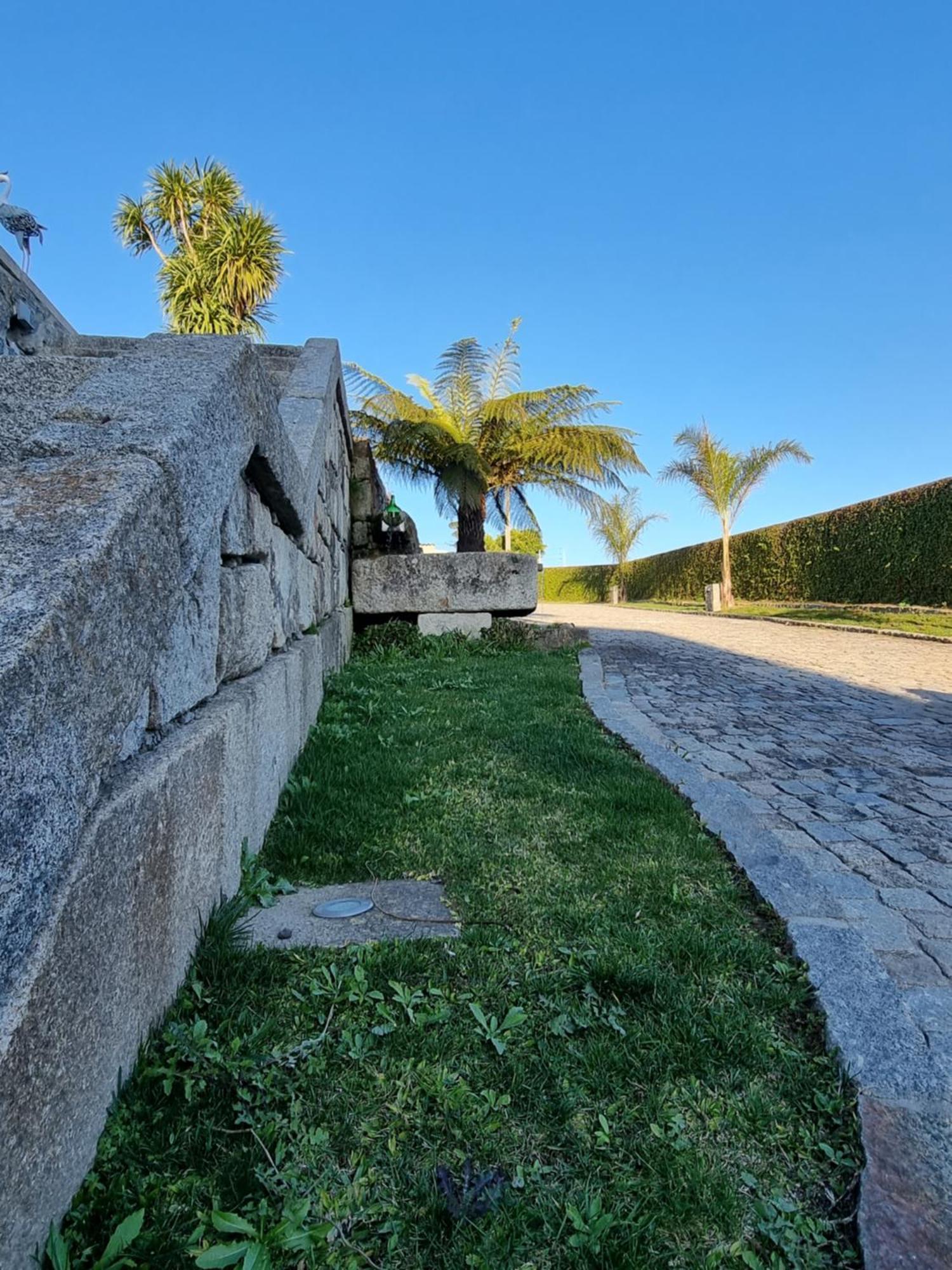 Casa Da Leira Villa Amarante Eksteriør billede
