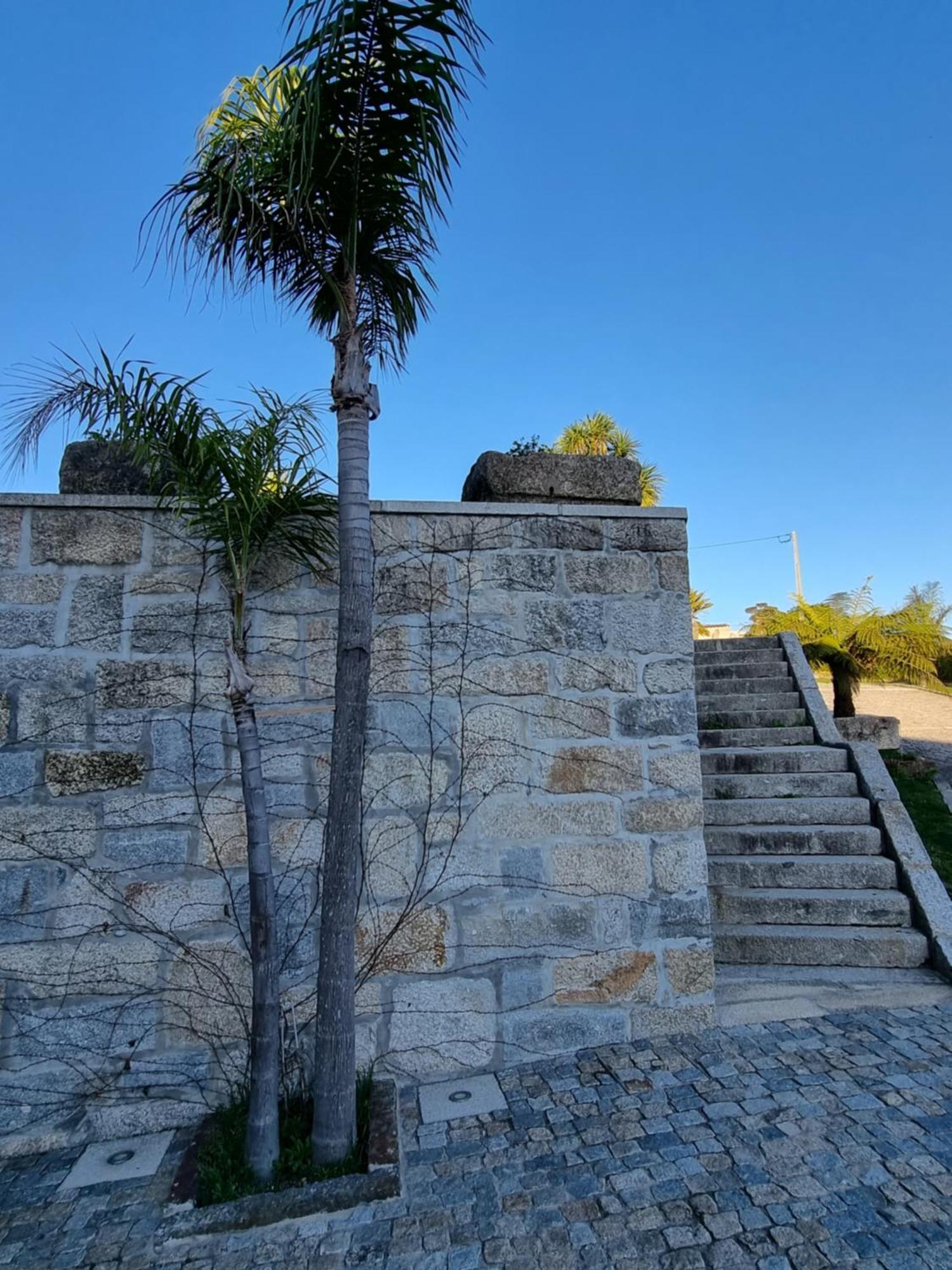 Casa Da Leira Villa Amarante Eksteriør billede