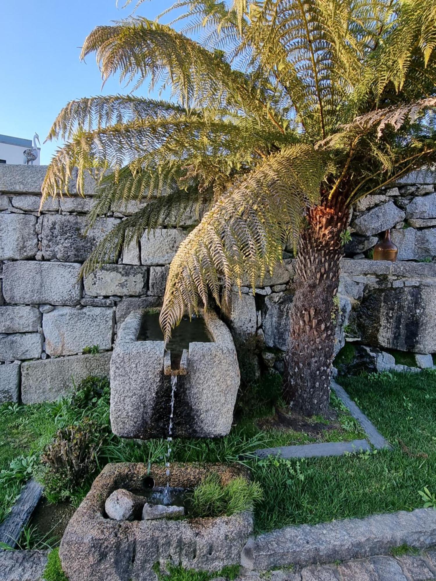 Casa Da Leira Villa Amarante Eksteriør billede